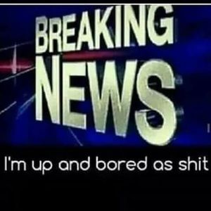 Meet your Posher, Donald